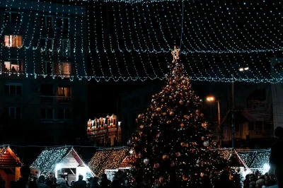 Marche-de-Noel-a-Barbery-8211-29-11-2025-8211-Barbery_3102645