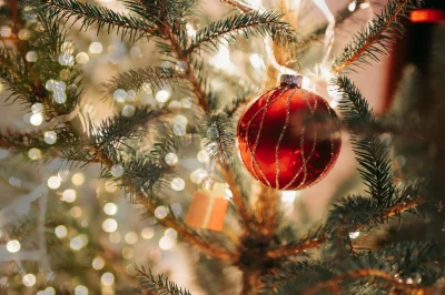 Marche-de-Noel-a-Milhac-8211-12-12-2026-8211-Milhac_3872350