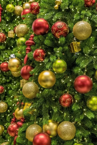 Marche-de-Noel-d039Ensemble-pour-Luzech-8211-28-11-2026-8211-Luzech_3789074