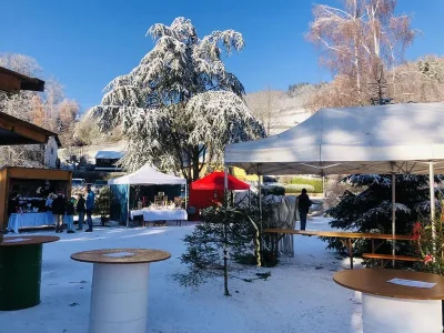Marche-de-Noel-des-Orbelais-8211-13-12-2025-8211-Orbey_2861196