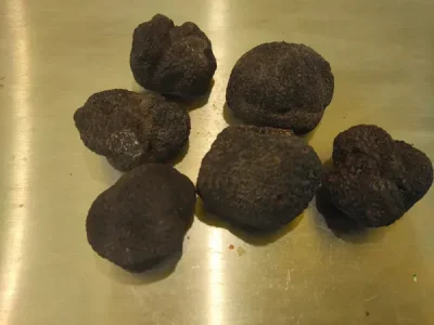 Marche-de-Noel-et-Fete-de-la-Truffe-8211-20-12-2026-8211-Compregnac_3449428