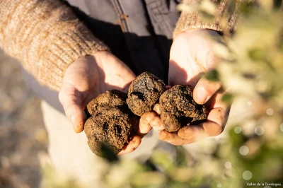 Marche-de-la-Truffe-de-Souillac-8211-25-01-2026-8211-Souillac_3102113