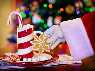 Marche-de-noel-8211-29-11-2026-8211-Hadol_3890403