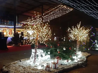 Marche-de-noel-maison-moine-8211-28-11-2025-8211-Xertigny_3255369