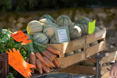 Marche-de-producteurs-a-La-Chapelle-Saint-Geraud-8211-12-12-2025-8211-La-Chapelle-Saint-Geraud_3149014