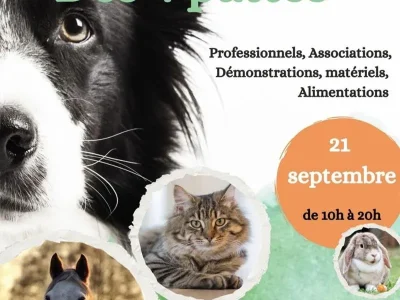 Marche-des-4-pattes-8211-21-09-2025-8211-Le-Syndicat_3073830