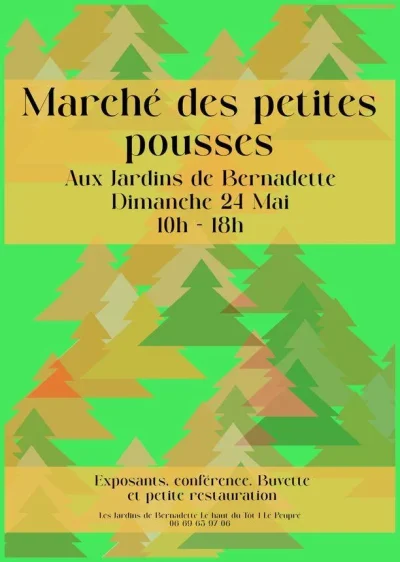 Marche-des-petites-pousses-8211-24-05-2026-8211-Sapois_3666831