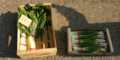 Marche-des-producteurs-8211-19-04-2025-8211-Chateaurenard_2539919