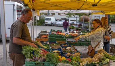 Marche-du-samedi-8211-01-01-2023-8211-Marlenheim_2348629