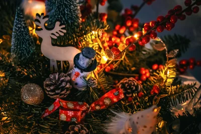 Marche-et-ferme-de-Noel-8211-04-12-2026-8211-Cernoy-en-Berry_3763089