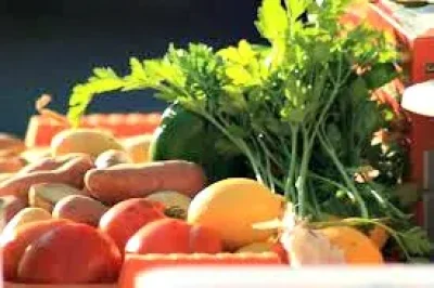 Marche-festif-et-gourmand-8211-07-08-2025-8211-Bio_2022482