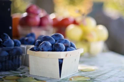 Marche-gourmand-8211-22-08-2025-8211-Sigoules-et-Flaugeac_2363599
