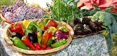 Marche-gourmand-a-Saint-Daunes-8211-03-07-2025-8211-Barguelonne-en-Quercy_2660615