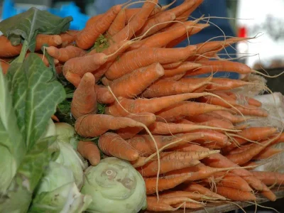 Marche-hebdomadaire-8211-02-01-2026-8211-Cernay_2355732
