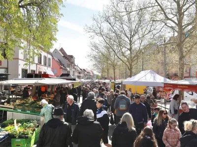 Marche-hebdomadaire-8211-15-07-2025-8211-Selestat_2350934-1