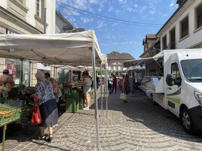 Marche-hebdomadaire-du-jeudi-matin-8211-01-01-2025-8211-Erstein_2348610
