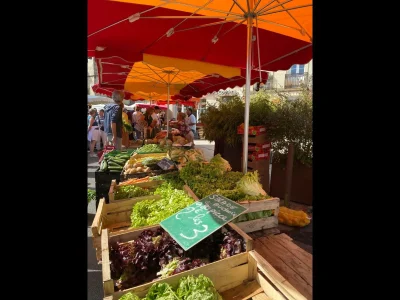Marche-hebdomadaire-du-vendredi-matin-de-Targon-8211-18-09-2026-8211-Targon_3470490
