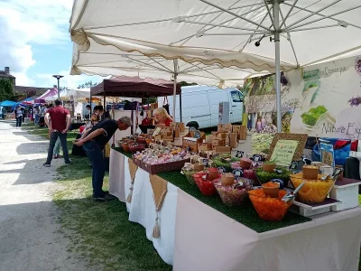 Marche-nocturne-et-cinema-de-plein-air-a-Blaye-8211-24-07-2025-8211-Blaye_2130485
