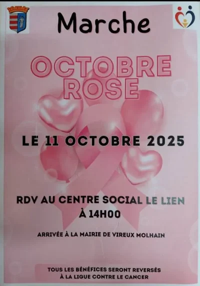 Marche-pour-Octobre-Rose-8211-11-10-2025-8211-Vireux-Wallerand_3136353