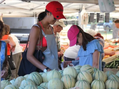 Marche-saisonnier-8211-28-08-2025-8211-Seignosse_2950781