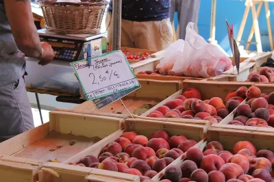 Marche-traditionnel-8211-01-01-2025-8211-Estillac_2973519