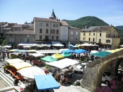 Marche-traditionnel-8211-17-06-2025-8211-Nant_2539742