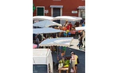 Marche-traditionnel-8211-27-10-2025-8211-Tardets-Sorholus_2832246