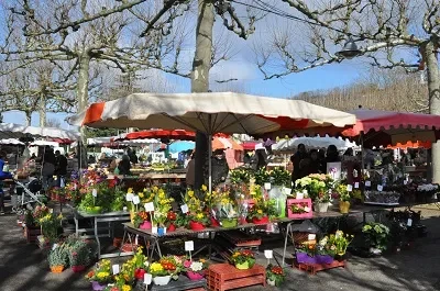 Marche-traditionnel-de-Bon-Encontre-8211-01-01-2026-8211-Bon-Encontre_3448536
