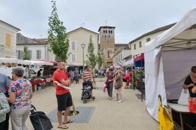 Marche-traditionnel-et-fermier-8211-07-03-2026-8211-Saint-Sever_3341319