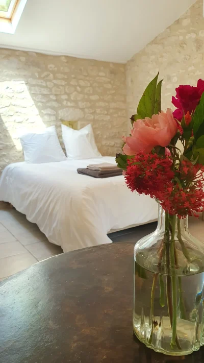 Mas-Labrugade-8211-Le-Coquet-8211-Montcuq-en-Quercy-Blanc_2444130