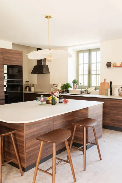 Mas-de-l039Etoile-8211-Domaine-Jolibois-8211-Aureille_3335058