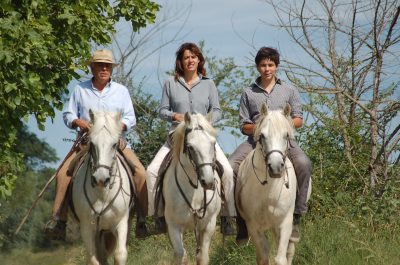 Mas-des-Grandes-Cabanes-du-Vaccares_173299