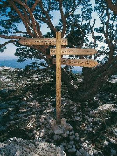 Massif-Sainte-Baume-Du-pont-des-Encanaux-au-pic-de-Bertagne_24975