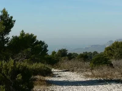 Massif-du-Grand-Caunet-Ceyreste-decouverte-de-Fontblanche_722988