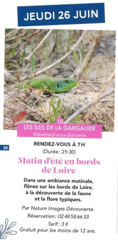 Matin-d039ete-en-bords-de-Loire-8211-26-06-2025-8211-Menetreol-sous-Sancerre_2585632