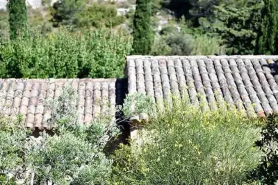 Mazet-Coquelicot-407-8211-Les-Garrigues-de-la-Vallee-des-Baux-8211-Paradou_2684462