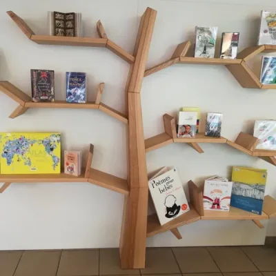 Mediatheque-du-Requistanais-8211-Requista_3886855