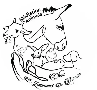 Mediation-animale-8211-28-08-2025-8211-Chatillon-sur-Thouet_3015669