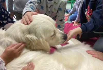 Mediation-canine-pour-les-enfants-DYS-ou-en-difficulte-d039apprentissage-de-la-lecture-8211-21-10-2025-8211-Civaux_3166303