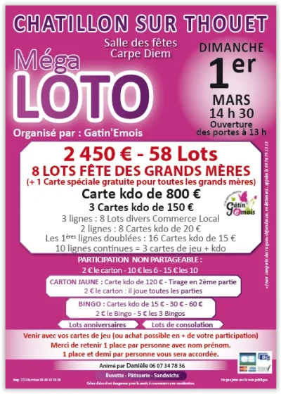 Mega-loto-8211-01-03-2026-8211-Chatillon-sur-Thouet_3482025