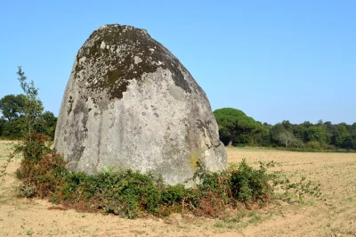 Menhir-de-Beaulieu-8211-Avrille_2199483