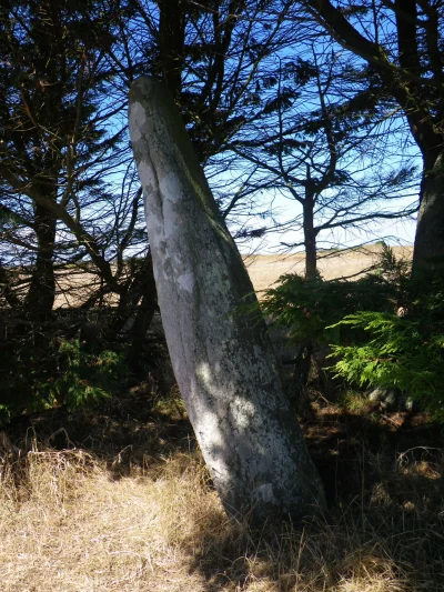 Menhir-de-Parc-er-Menhir-8211-Ile-d039Houat_2742864
