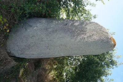 Menhir-de-la-Chenillee-8211-Saint-Vincent-sur-Graon_2188351