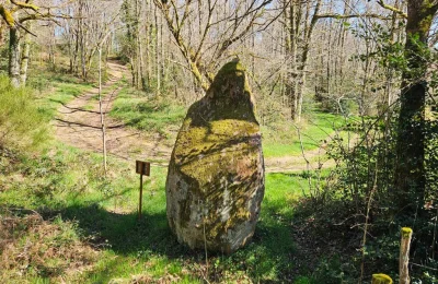 Menhir-du-Theil-8211-Gorre_2431750