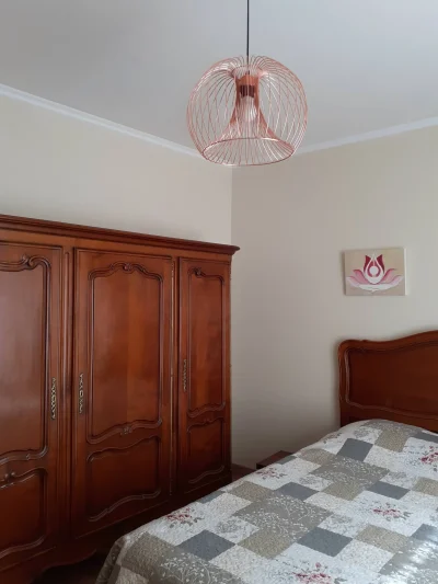 Meubles-8211-La-Salvetat-sur-Agout_2466521