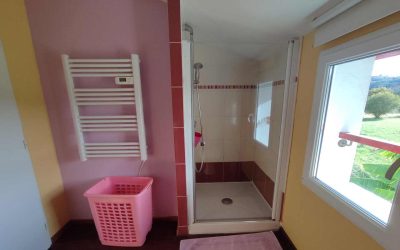Meubles-8211-Saint-Pee-sur-Nivelle_104060