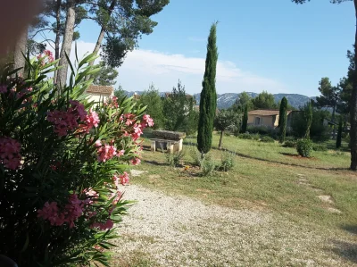 Meubles-8211-Saint-Remy-de-Provence_2488281