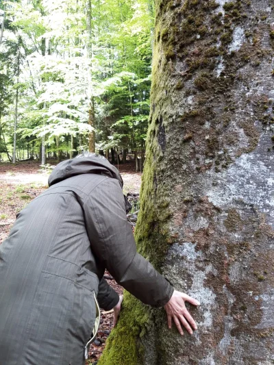 Micro-aventure-realisez-votre-1er-bain-de-foret-8211-Feins-en-Gatinais_2437936