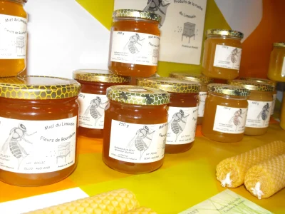Miel-Guillaume-Guilbert-8211-La-Jonchere-Saint-Maurice_3557298
