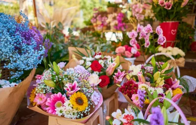 Mirefleurs-8211-27-04-2025-8211-Mirepeix_1989060